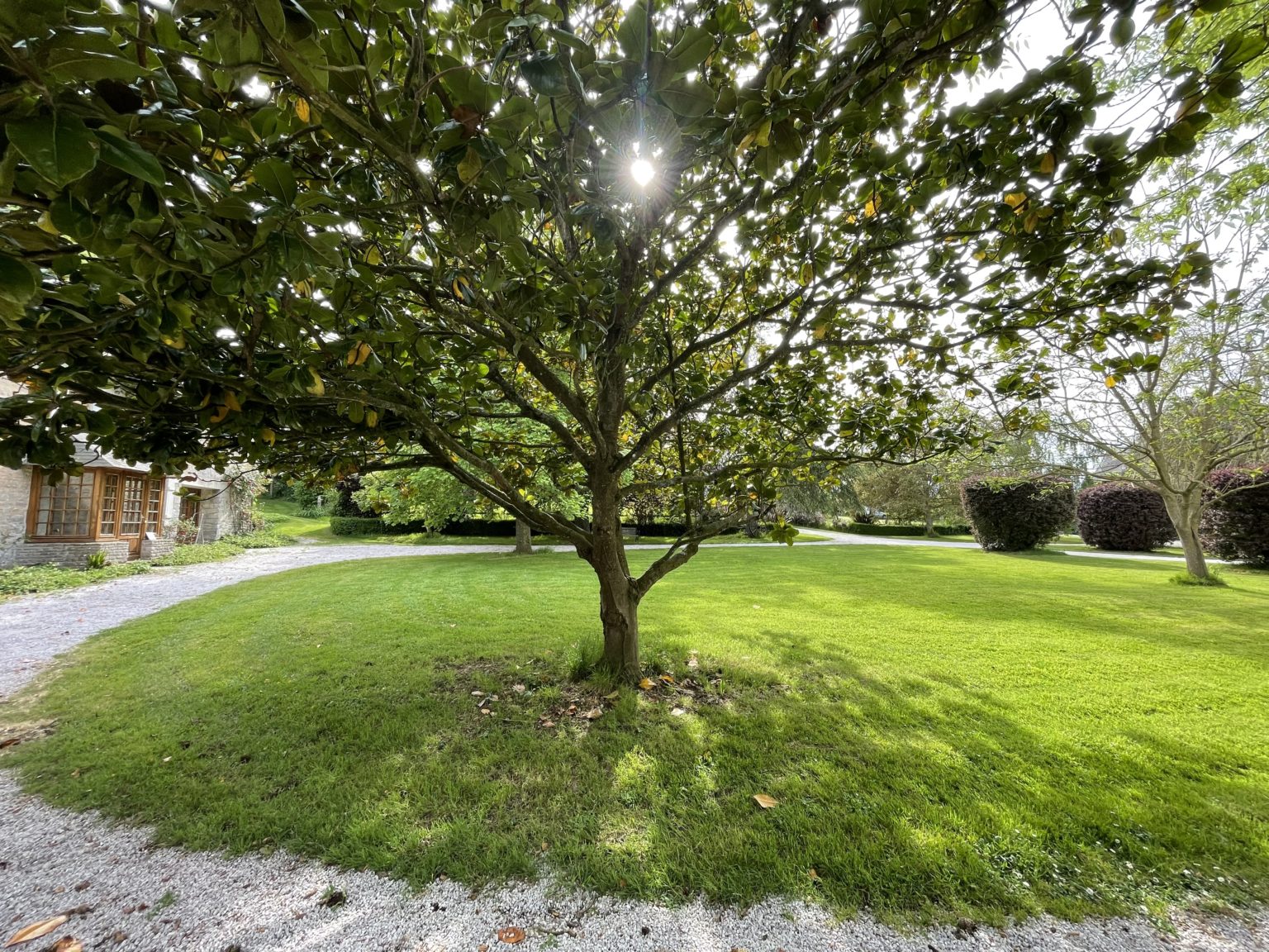 Le Château de Monfréville Normandy France