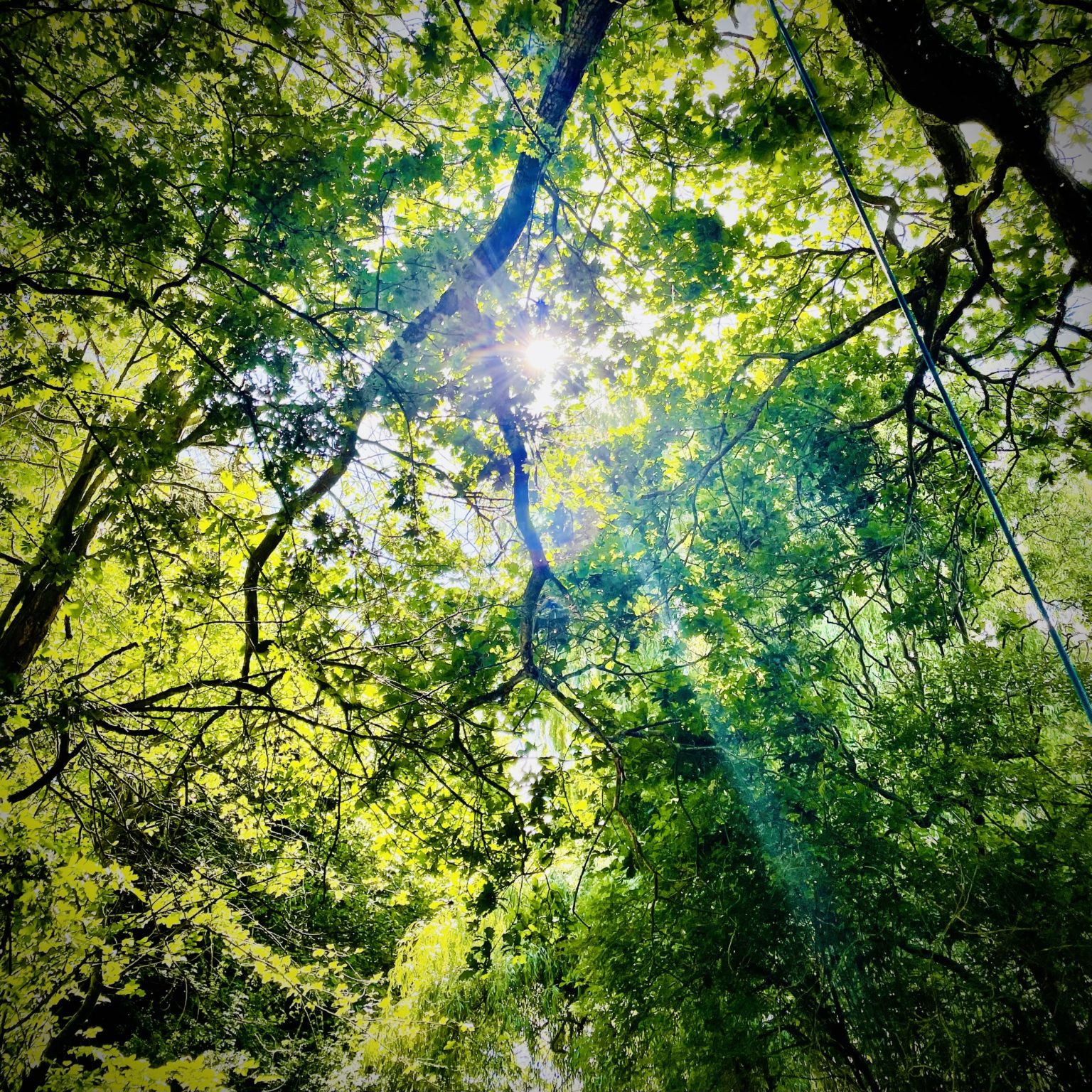 Le Château de Monfréville Normandy France